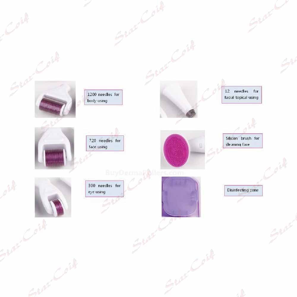 Derma Roller 6in1 – Image 2